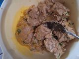 102. Tempe Patty