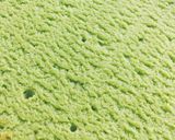 Foto langkah ke 18 dari resep Pandan Sponge Cake (cooked dough).