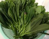 Foto langkah ke 1 dari resep #20 Tumis Daun Gingseng.
