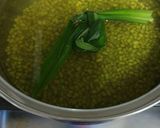 Foto langkah ke 4 dari resep 118. Bubur Kacang Hijau.