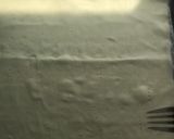 Foto del paso 11 de la receta: Empanada para dar la enhorabuena