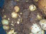Rendang Daging, coklat, kering, dan Rapuh