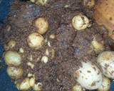 Foto langkah ke 4 dari resep Rendang Daging, coklat, kering, dan Rapuh.