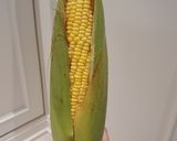 Foto langkah ke 2 dari resep MPASI 9 bulan sop jagung oatmeal.