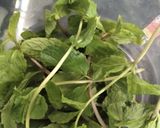 પાણીપૂરીનું પાણી(Panipuris water recipe in Gujarati) રેસીપી સ્ટેપ1ફોટો