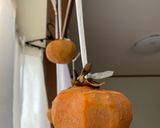 A picture of step 3 of Dried Persimon.
