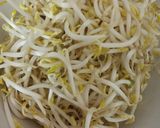 Foto langkah ke 1 dari resep Tumis kacang panjang + tauge.