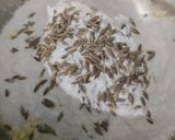 ग्रिल्ड चीला स्टफ्ड स्ट्राइप्स - फ्यूजन स्टाइल स्कूल लंच बॉक्स रेसिपी चरण 2 फोटो