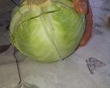 Töltött káposzta vegyesen recept fázis 1 fotója