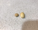 Foto del paso 3 de la receta: Miso (poco salado)