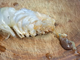 กุ้งทอดเกลือ