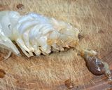 รูปขั้นตอนการทำที่ 1 ของ กุ้งทอดเกลือ