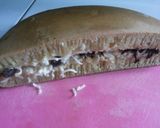 Foto langkah ke 10 dari resep Martabak manis super NYARANG.