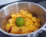 Foto del paso 1 de la receta: Mermelada de melocotón y nectarina con toque de lima y jengibre