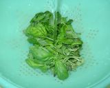 Foto del paso 1 de la receta: Festival de Pestos: 1 de albahaca tradicional