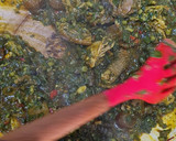 A picture of step 5 of Afang Soup 🍲.