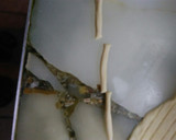 Foto del paso 2 de la receta: Palitos salados saborizados