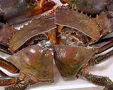 A picture of step 1 of Singapore chilli crab.
