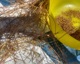 Foto del paso 2 de la receta: Bulgur con salsa de zanahoria enriquecido con Agua de mar