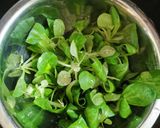 Salat aus Möhre Frühlingszwiebel und Feldsalat Rezeptschritt 2 Foto