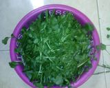 Foto langkah ke 3 dari resep Sayur Cenil Bening.. By: Erni Hartanti. Amd:-)).