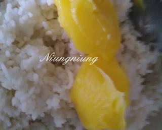 Nasi Goreng Minyak Samin langkah memasak 1 foto