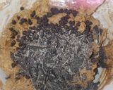 Foto langkah ke 4 dari resep Chocochips cookies.