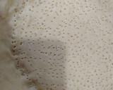 Foto del paso 6 de la receta: Tarta de manzana con crumble