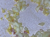 Pasta Farfalle