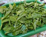 Foto del paso 10 de la receta: Alitas al ajillo hechas al disco