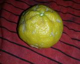 Foto del paso 1 de la receta: Limonada refrescante 🍋