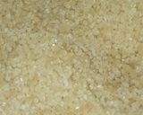 Foto del passaggio 3 della ricetta Rustica integrale con provola fresca datterini origano e basilico