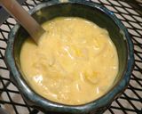 人生好南瓜白菜濃湯的食譜步驟5照片