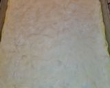 Foto del passaggio 6 della ricetta Impasto pizza, metodo diretto con maturazione 24 ore, 75% idro
