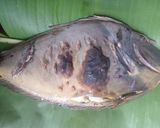 Foto langkah ke 1 dari resep #258. Ikan Bontana Batu Tanduk Goreng Tepung.