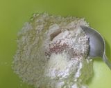 Foto langkah ke 2 dari resep Bakwan sosis ayam.