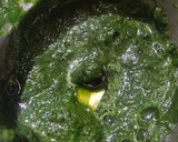 A picture of step 1 of Spinach Beets Ravioli with Minced Mushroom in Bachmel Sauce.