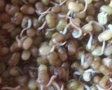 A picture of step 2 of Sprouted moong salad.