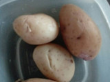 Deli croquetitas de atún con papa