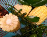 Foto langkah ke 1 dari resep Resep Sayur Lodeh Tempe Semanggit.