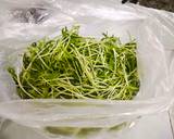 ต้นอ่อนผักบุ้งผัดหอยลายสามรส วิธีทำสูตร 1 รูป