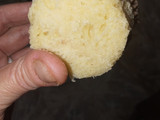 Manteconchas