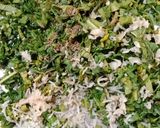 A picture of step 1 of Jawar muli paratha.