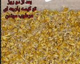 عکس مرحله 1 از دستور سمنوی خونگی😋😋