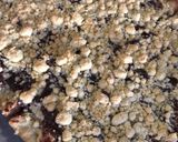 Foto del paso 4 de la receta: Coca de mollitas con chocolate