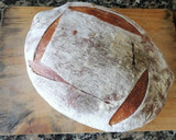 Foto del paso 9 de la receta: Pan de cerveza con masa madre (Voll Damm)
