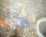 Foto del paso 3 de la receta: Lentejas