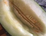 Foto del paso 2 de la receta: Sopa fría de melón y coco 🌴