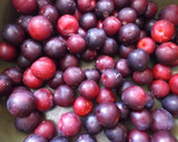 Foto del paso 1 de la receta: Streusel de ciruelas rojas al moscatel