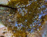 A picture of step 4 of Grilled fish.